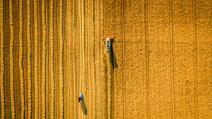 Griffith Farm Lease Lawyer