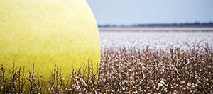 Griffith Rural Conveyancing